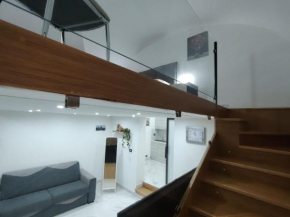 House 80palmi